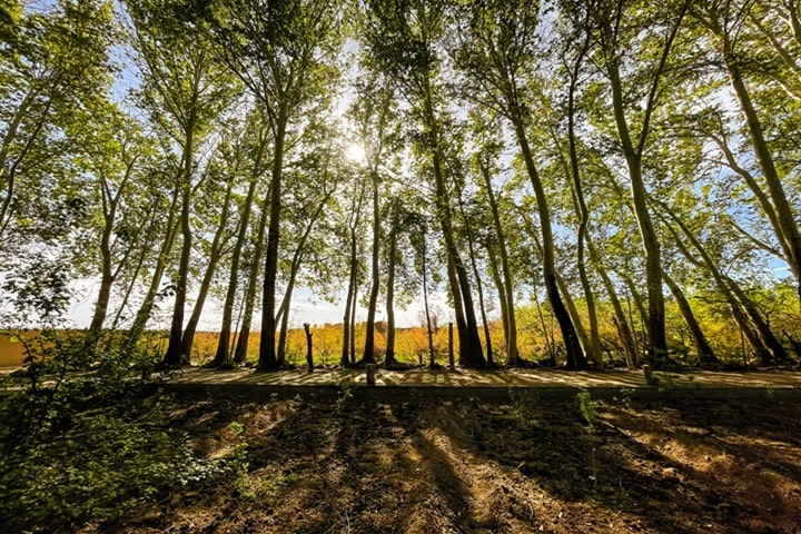 Ecotourism-in-Iran